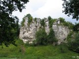 bialykosciol1.jpg